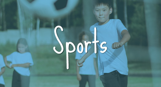 Sports / International After School